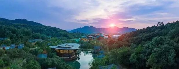 舟山航空文旅新篇章 保利航空小鎮開元森泊度假樂園成功簽約，擘畫海島旅游新藍圖